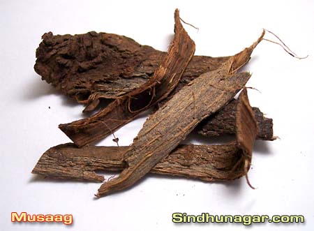 Musaag Herb